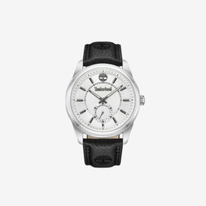 TDWGA0029704